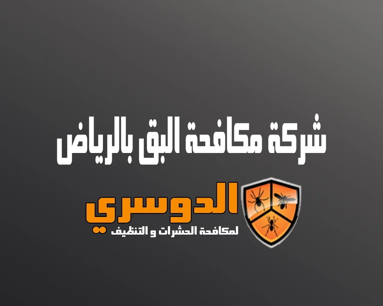 شركة مكافحة البق بالرياض