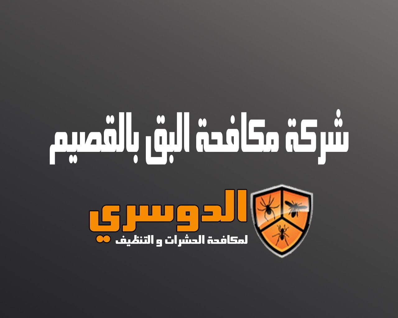 شركة مكافحة البق بالقصيم 10 شركة مكافحة البق بالقصيم