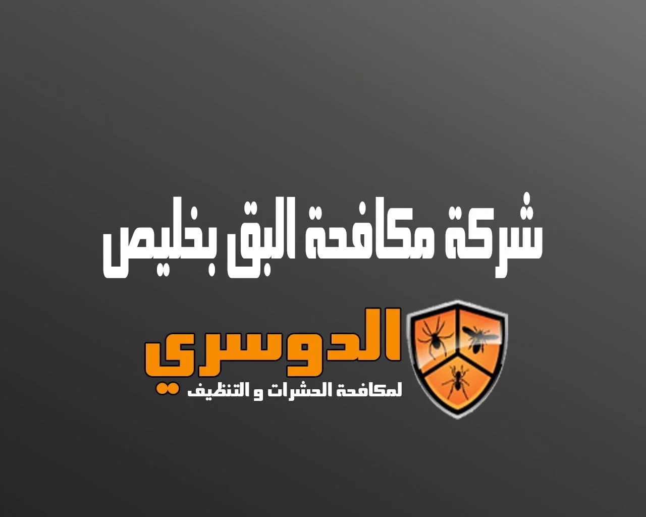 شركة مكافحة البق بخليص