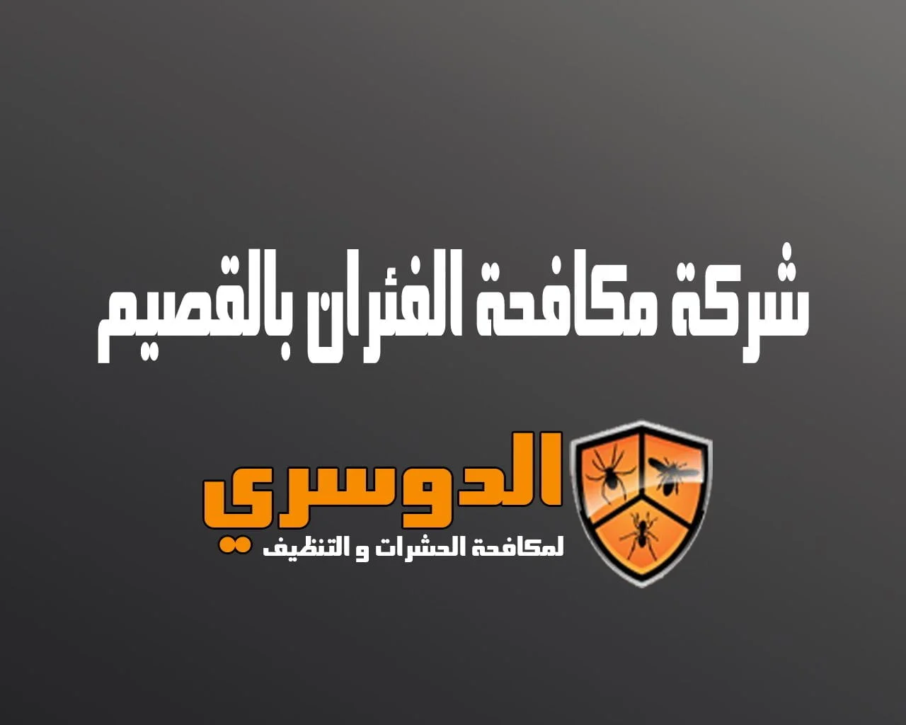 شركة مكافحة الفئران بالقصيم 7 شركة مكافحة الفئران بالقصيم