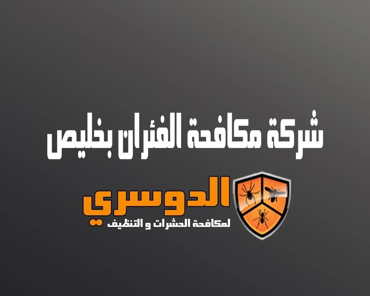 شركة مكافحة الفئران بخليص