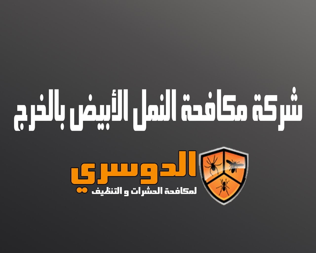 شركة مكافحة النمل الابيض بالخرج