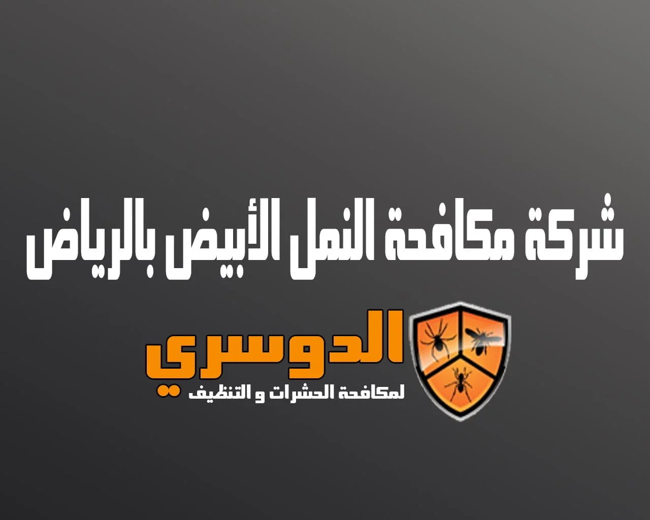  شركة مكافحة النمل الابيض بالرياض