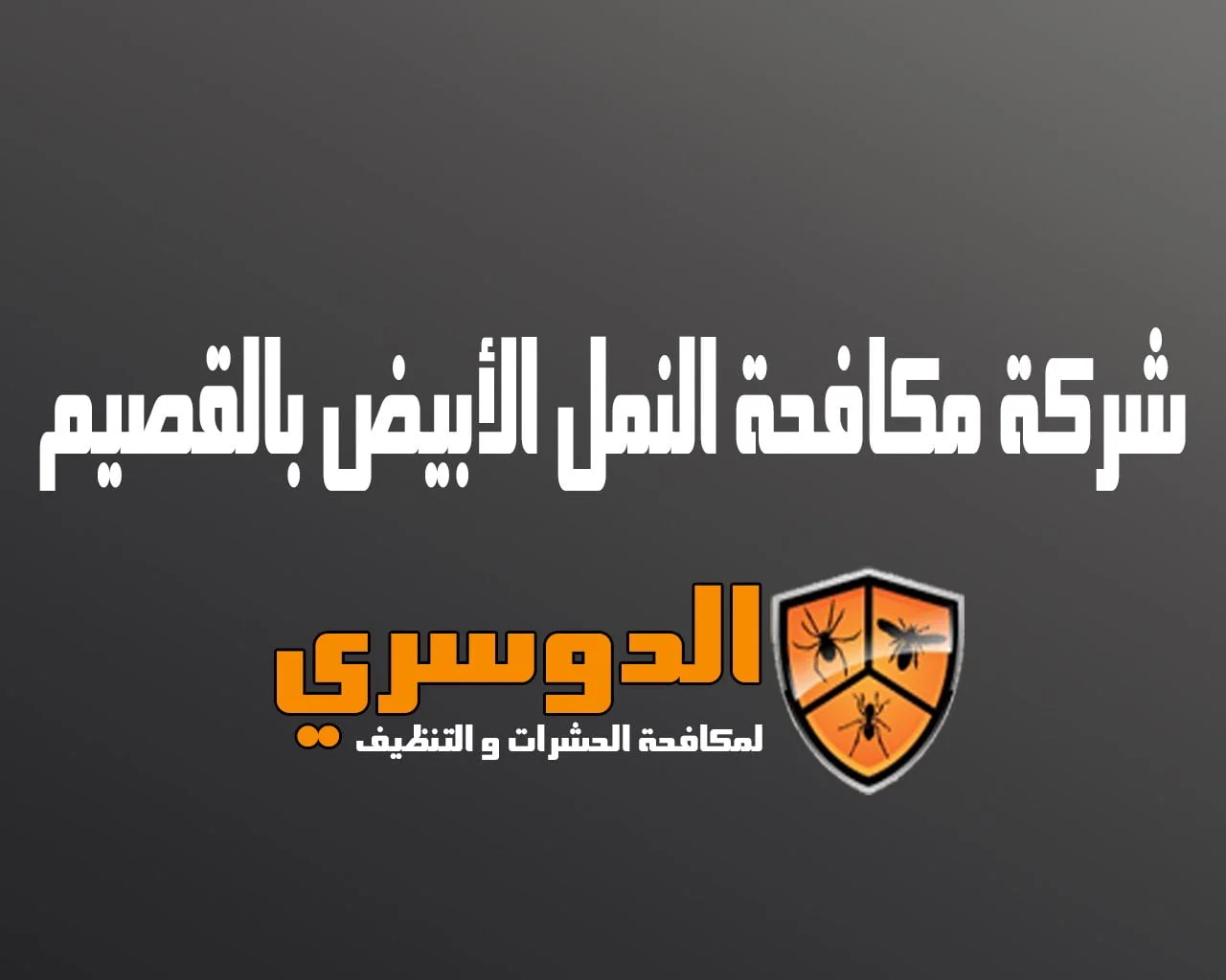 شركة مكافحة النمل الابيض بالقصيم