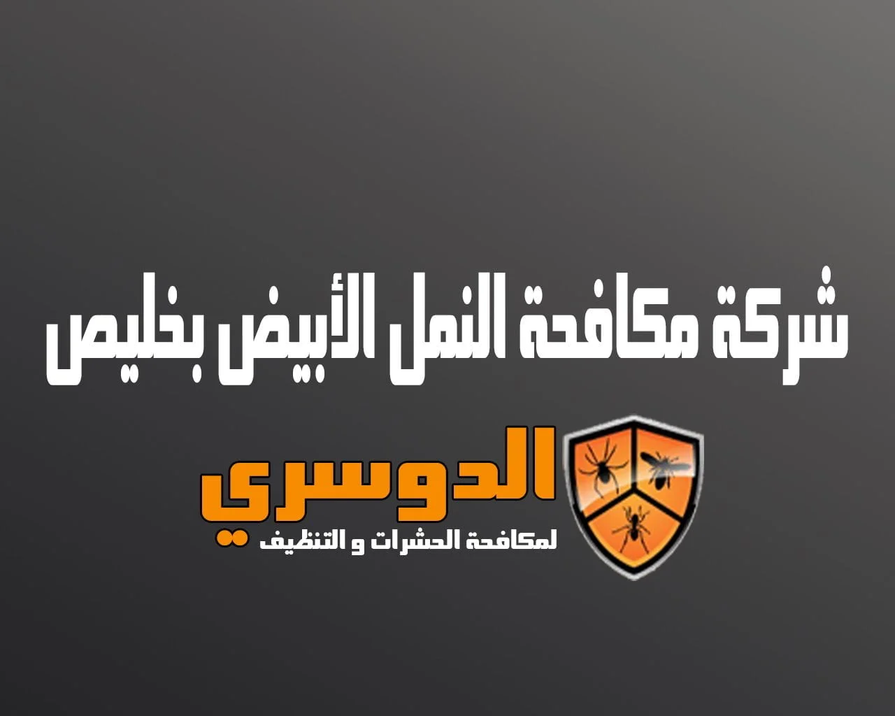 شركة مكافحة النمل الابيض بخليص