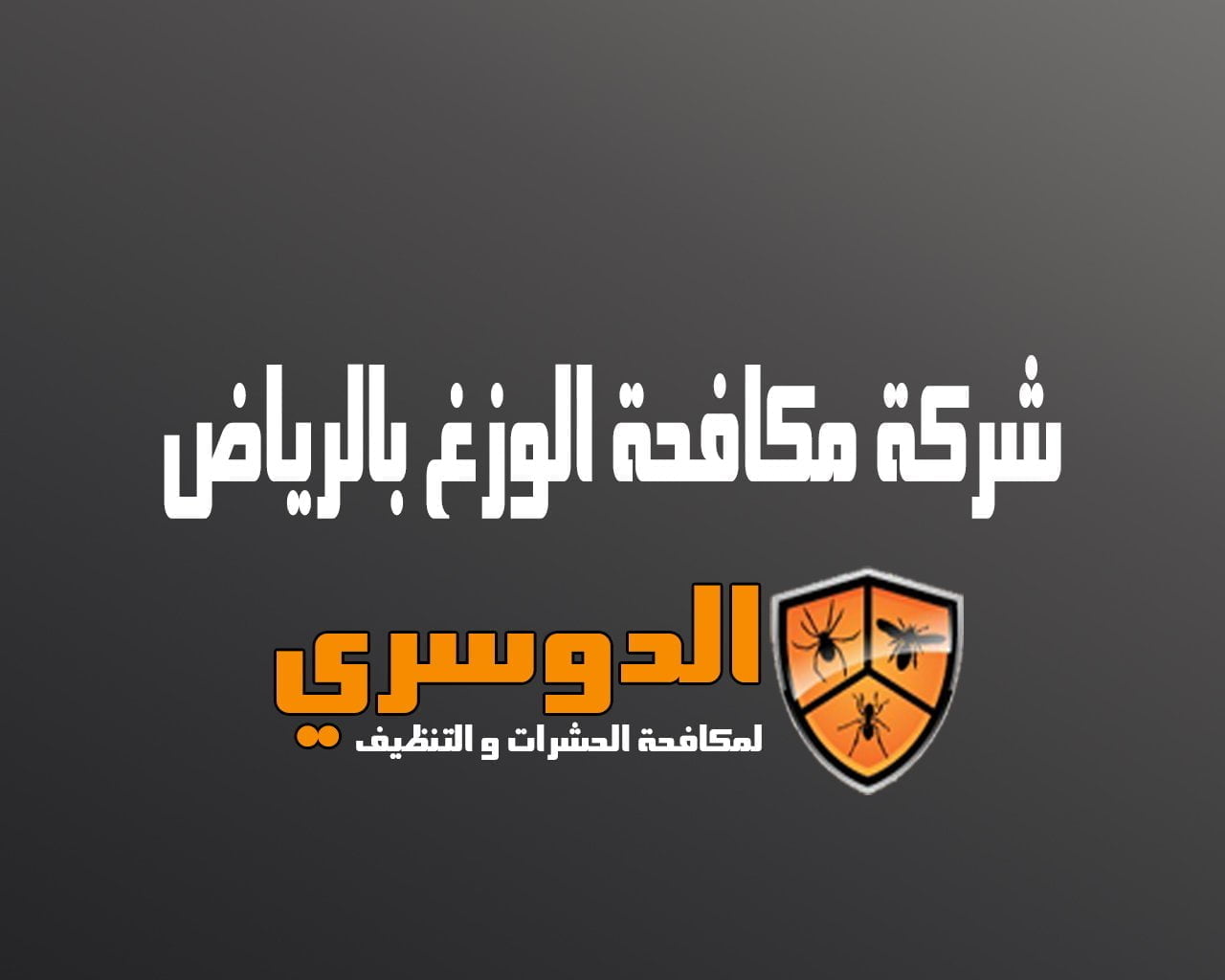 شركة مكافحة الوزغ بالرياض