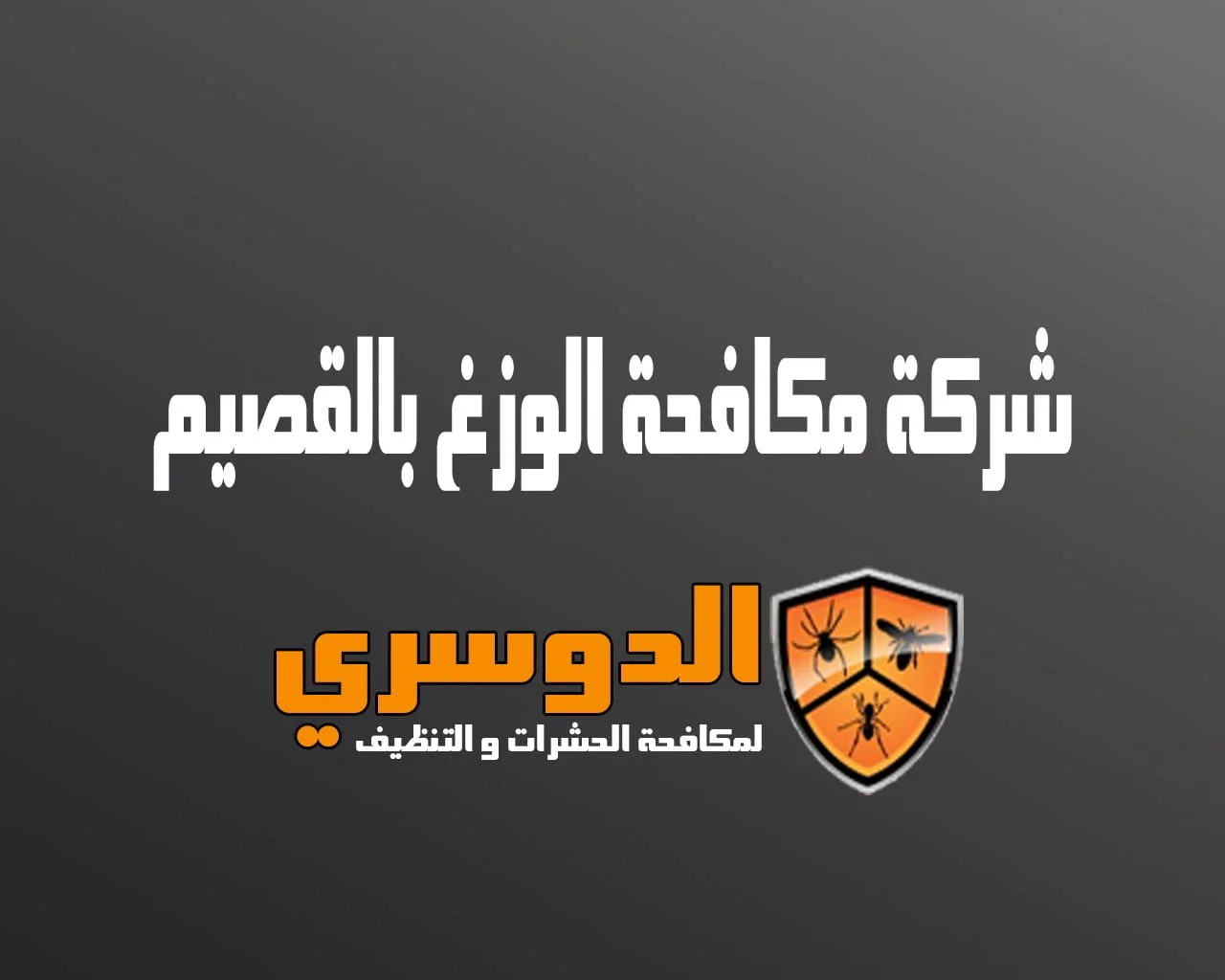 شركة مكافحة الوزغ بالقصيم