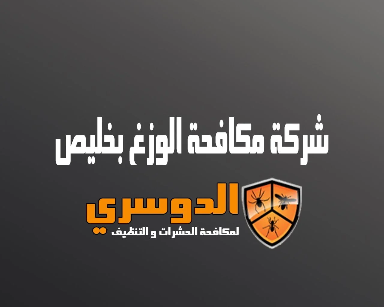 شركة مكافحة الوزغ بخليص