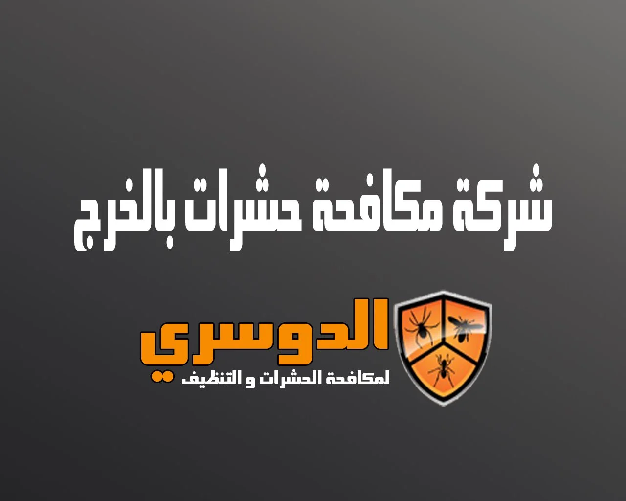 شركة مكافحة حشرات بالخرج 4 شركة مكافحة حشرات بالخرج