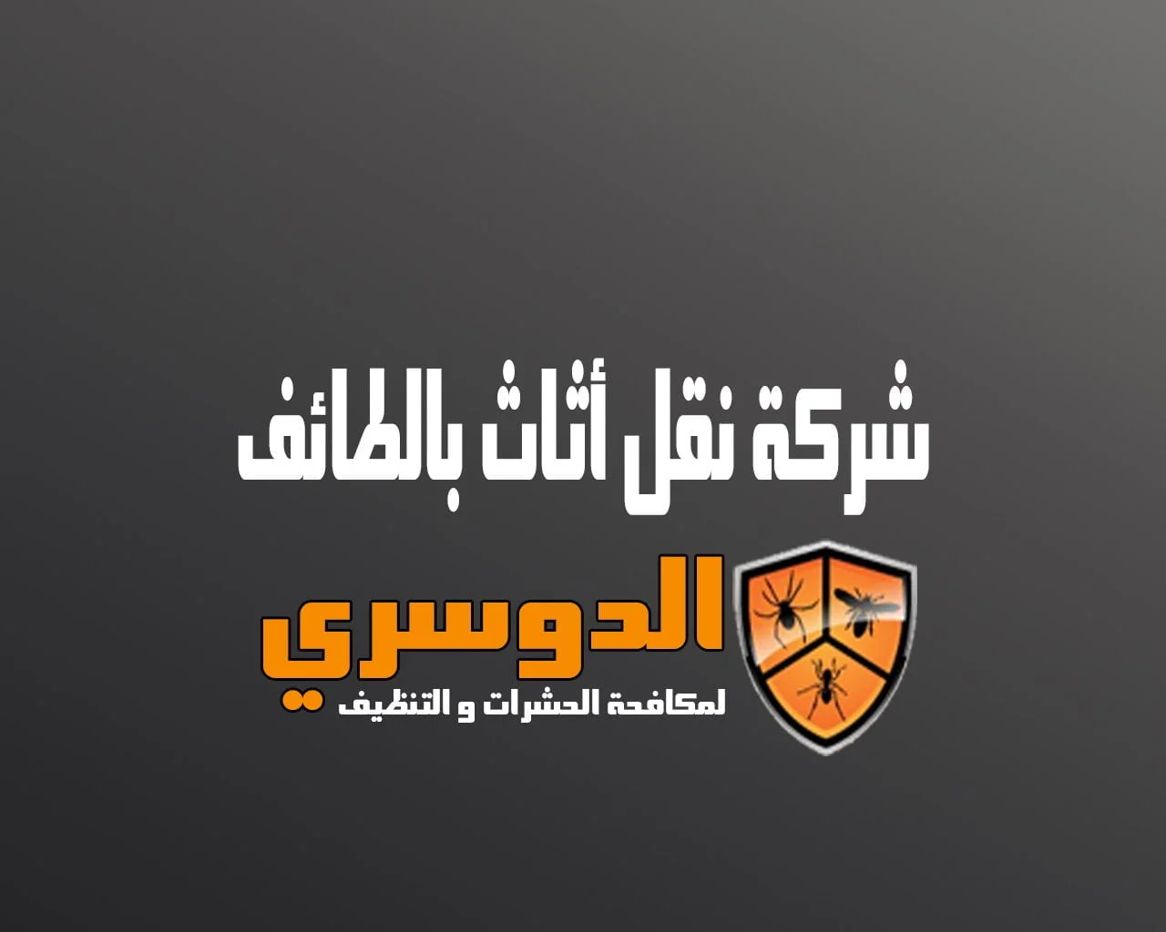 شركة نقل اثاث بالطائف 2 شركة نقل اثاث بالطائف