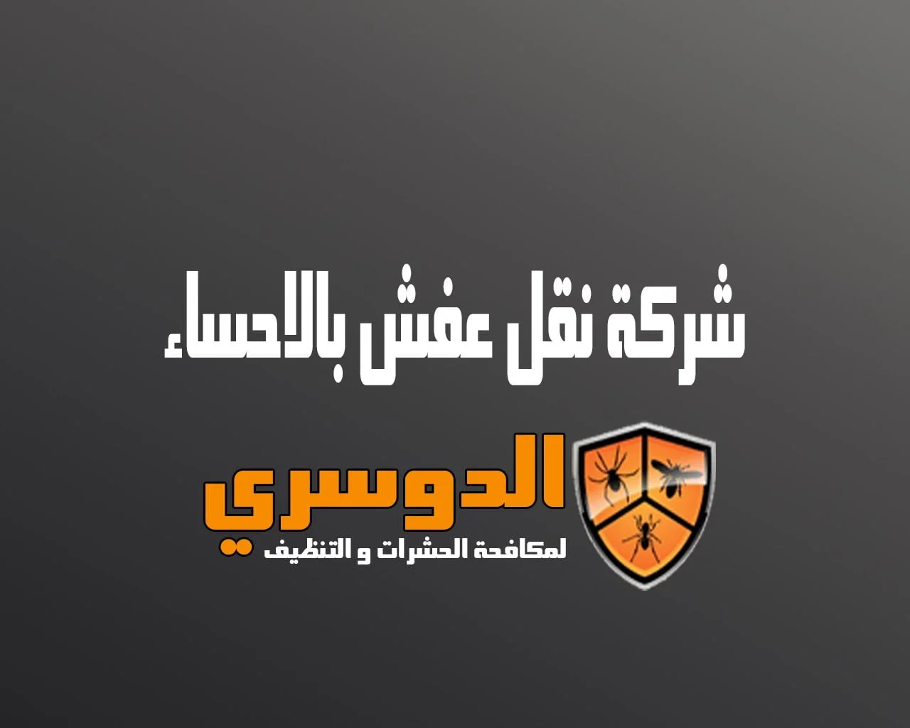 شركة نقل عفش بالاحساء