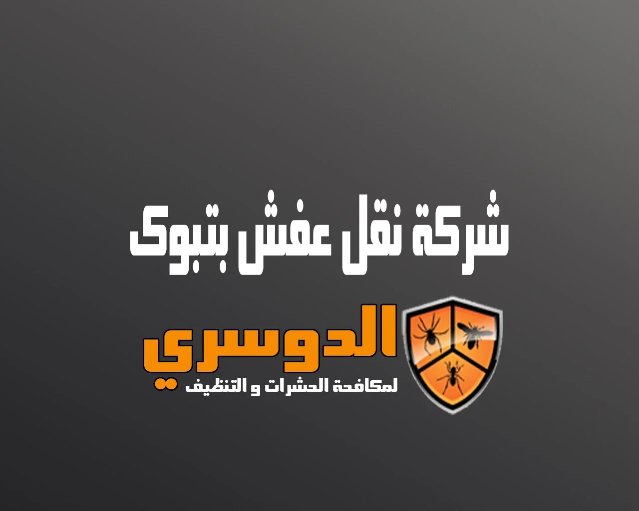 شركة نقل عفش بتبوك