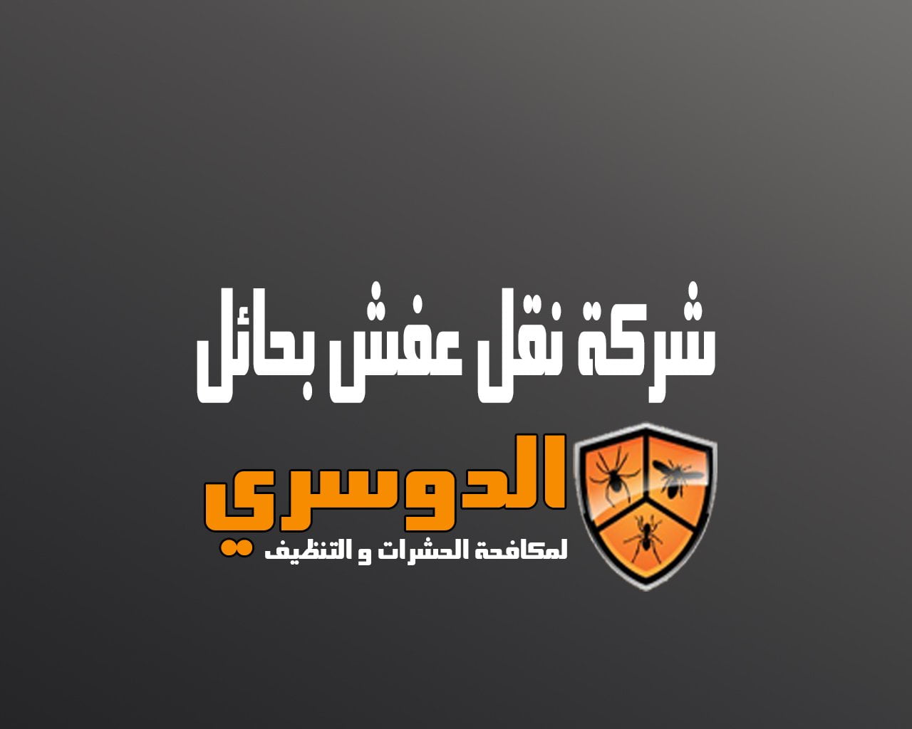 شركة نقل عفش بحائل 7 شركة نقل عفش بحائل