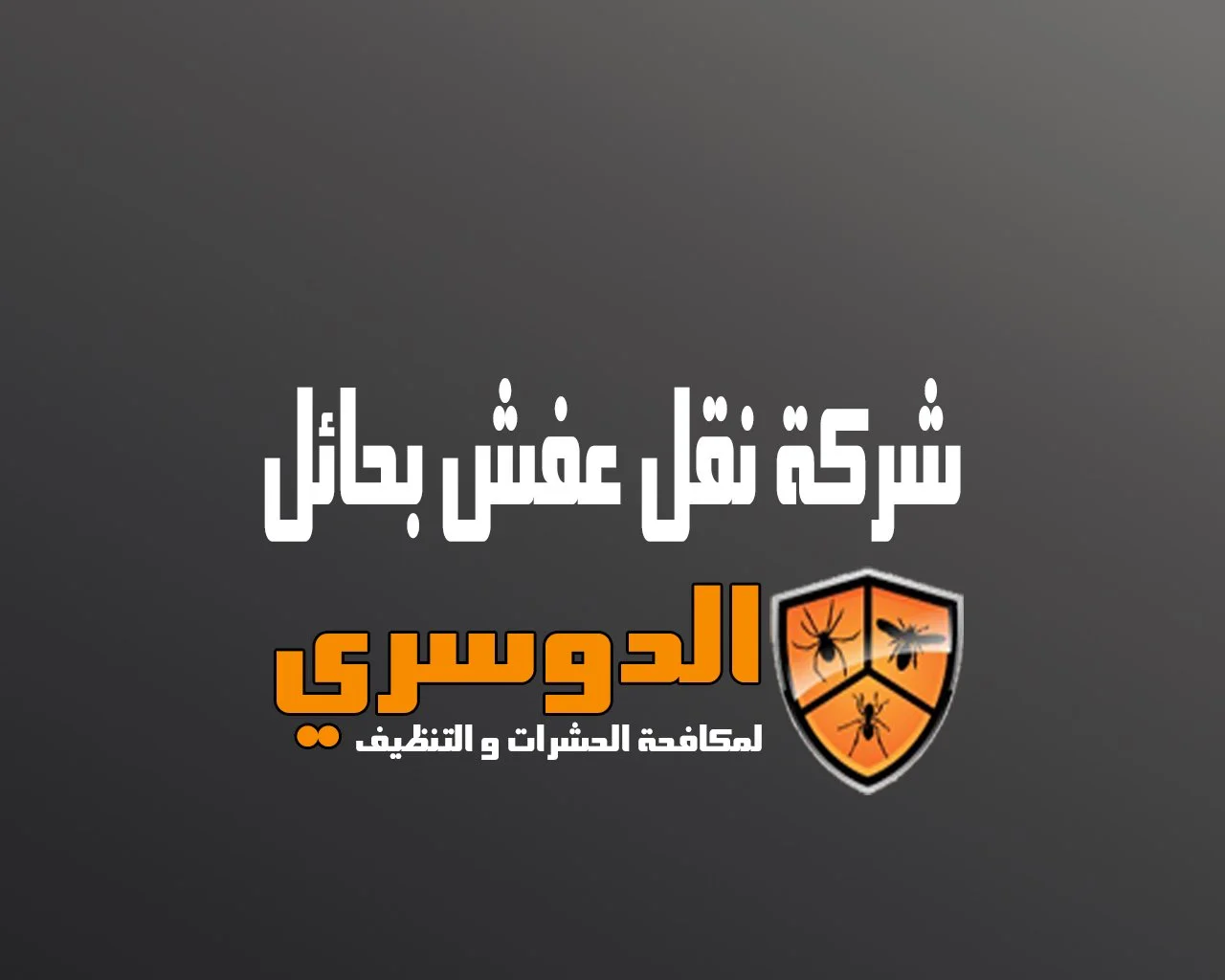 شركة نقل عفش بحائل