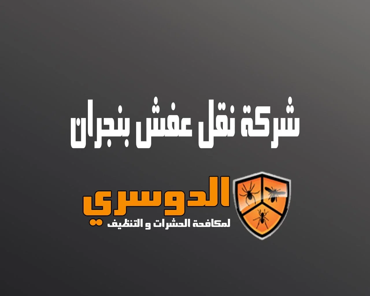 شركة نقل عفش بنجران