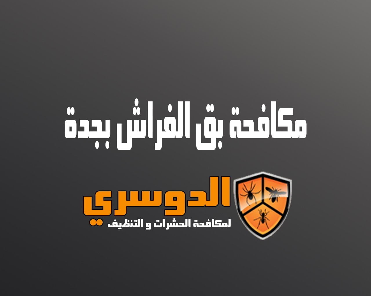 مكافحة بق الفراش بجدة 1 مكافحة بق الفراش بجدة