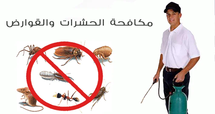 شركة مكافحة حشرات بالقصيم 1 شركة مكافحة حشرات بالقصيم