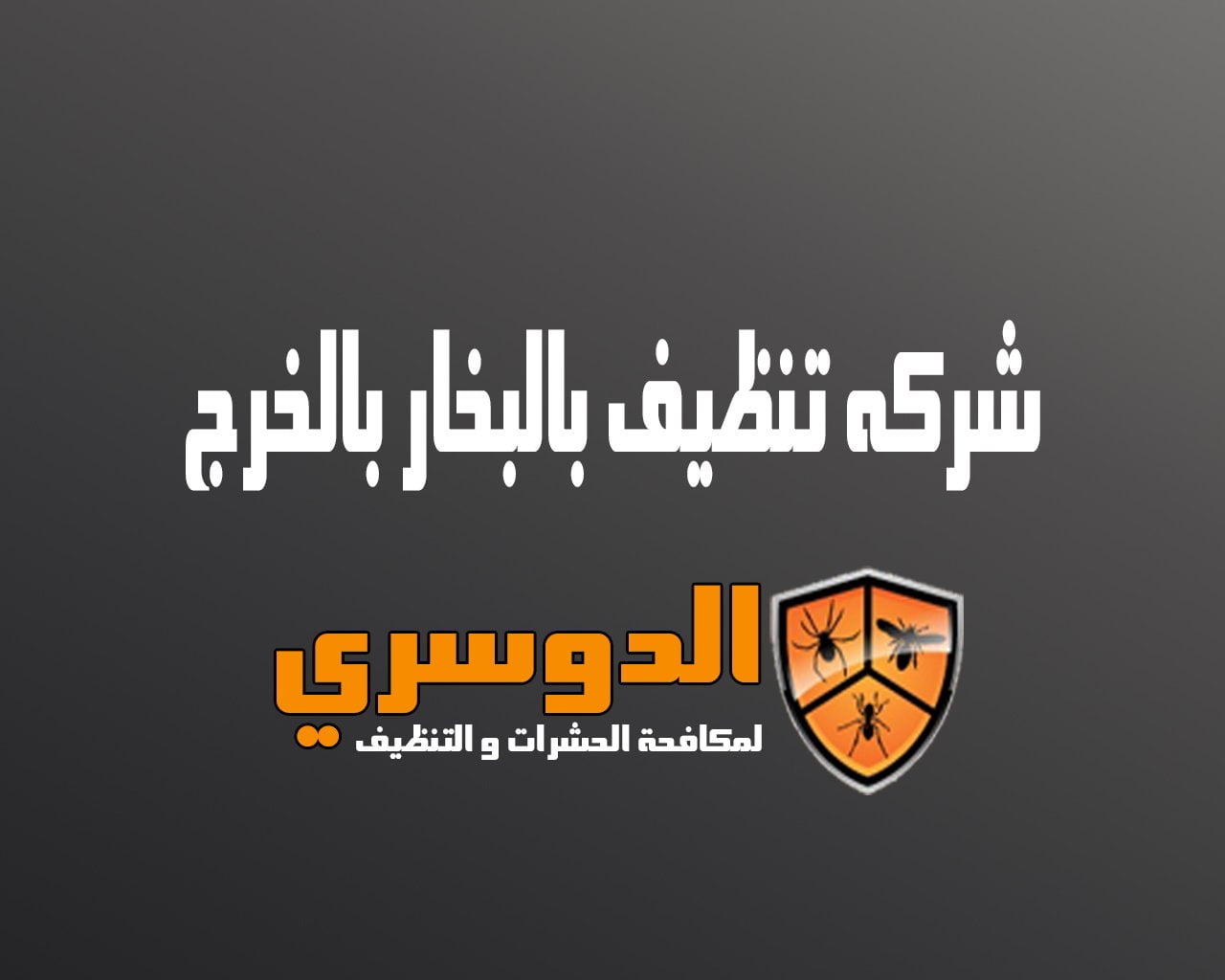 شركة تنظيف بالبخار بالخرج
