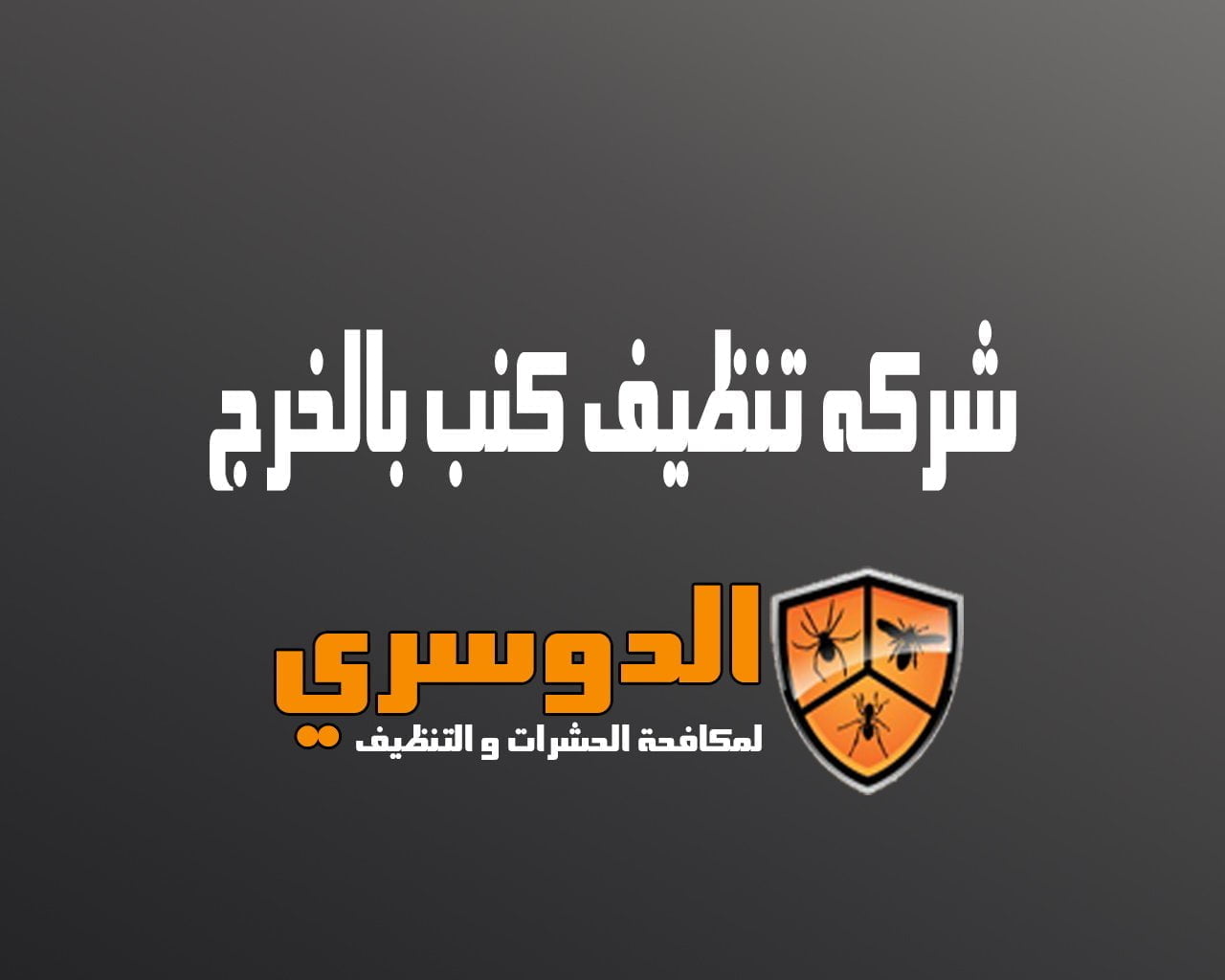 شركة تنظيف كنب بالخرج