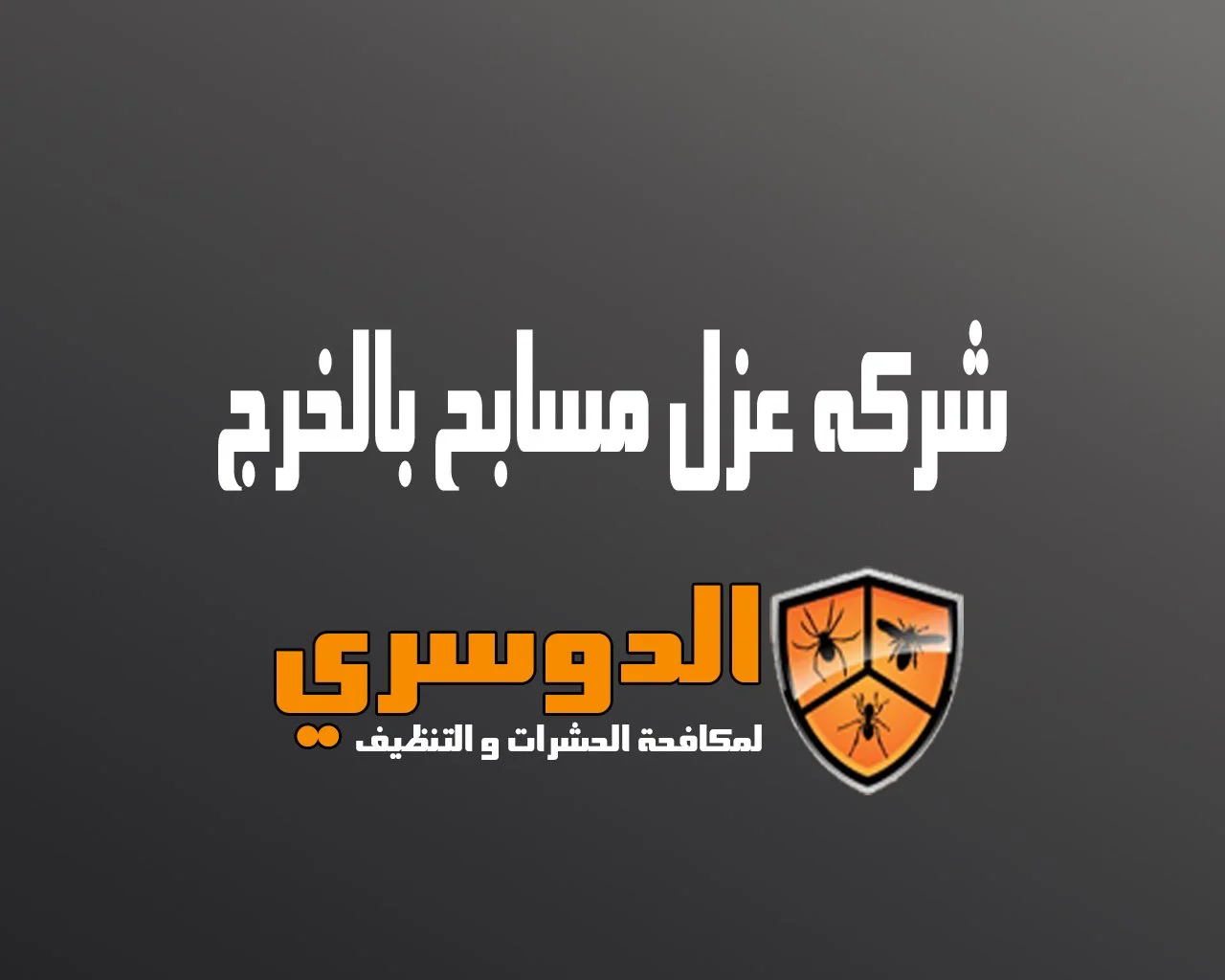 شركة عزل مسابح بالخرج