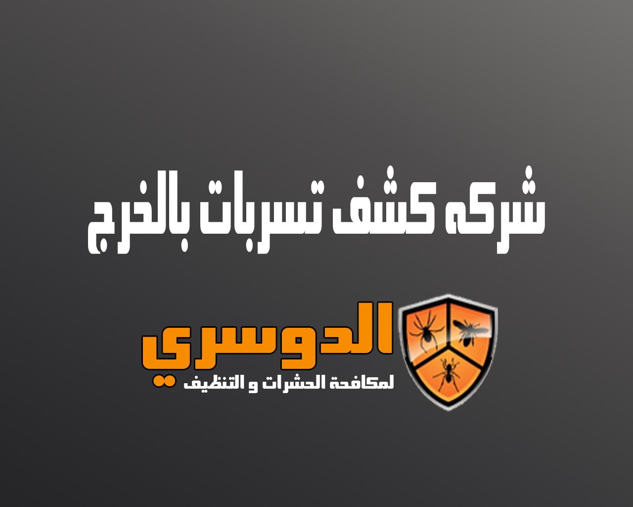 شركة كشف تسربات بالخرج