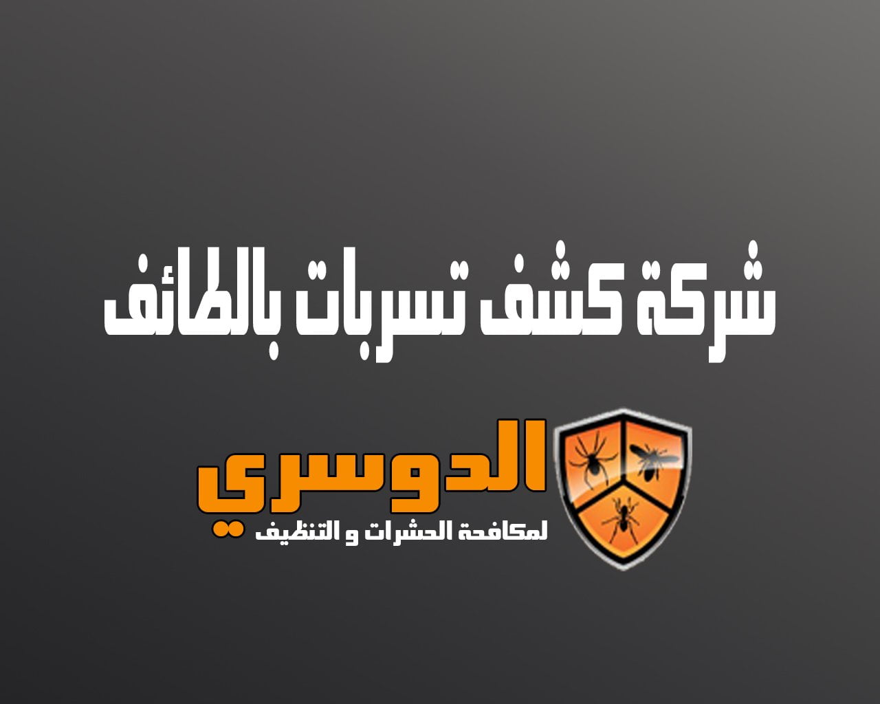 شركة كشف تسربات بالطائف 9 شركة كشف تسربات بالطائف