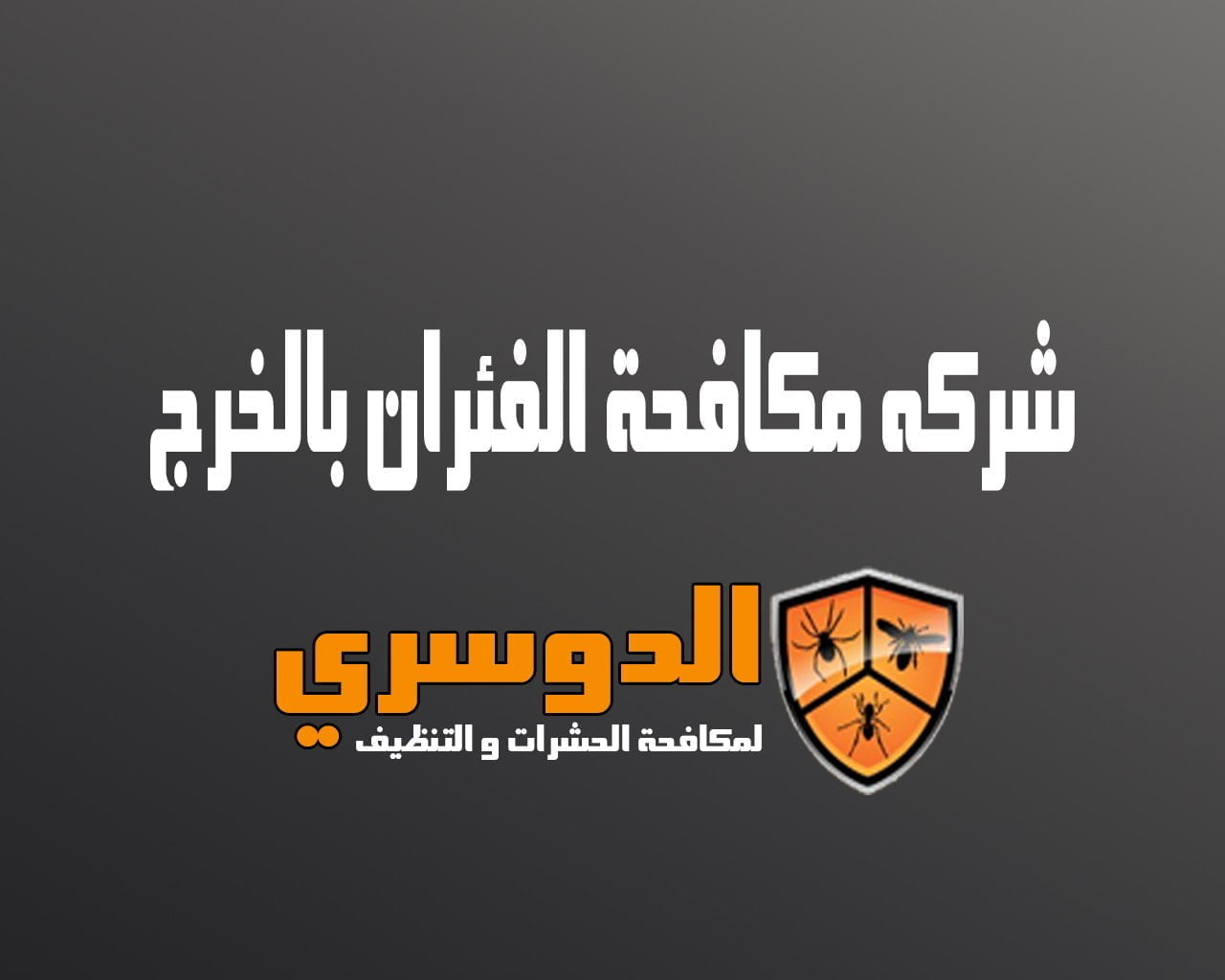 شركة مكافحة الفئران بالخرج