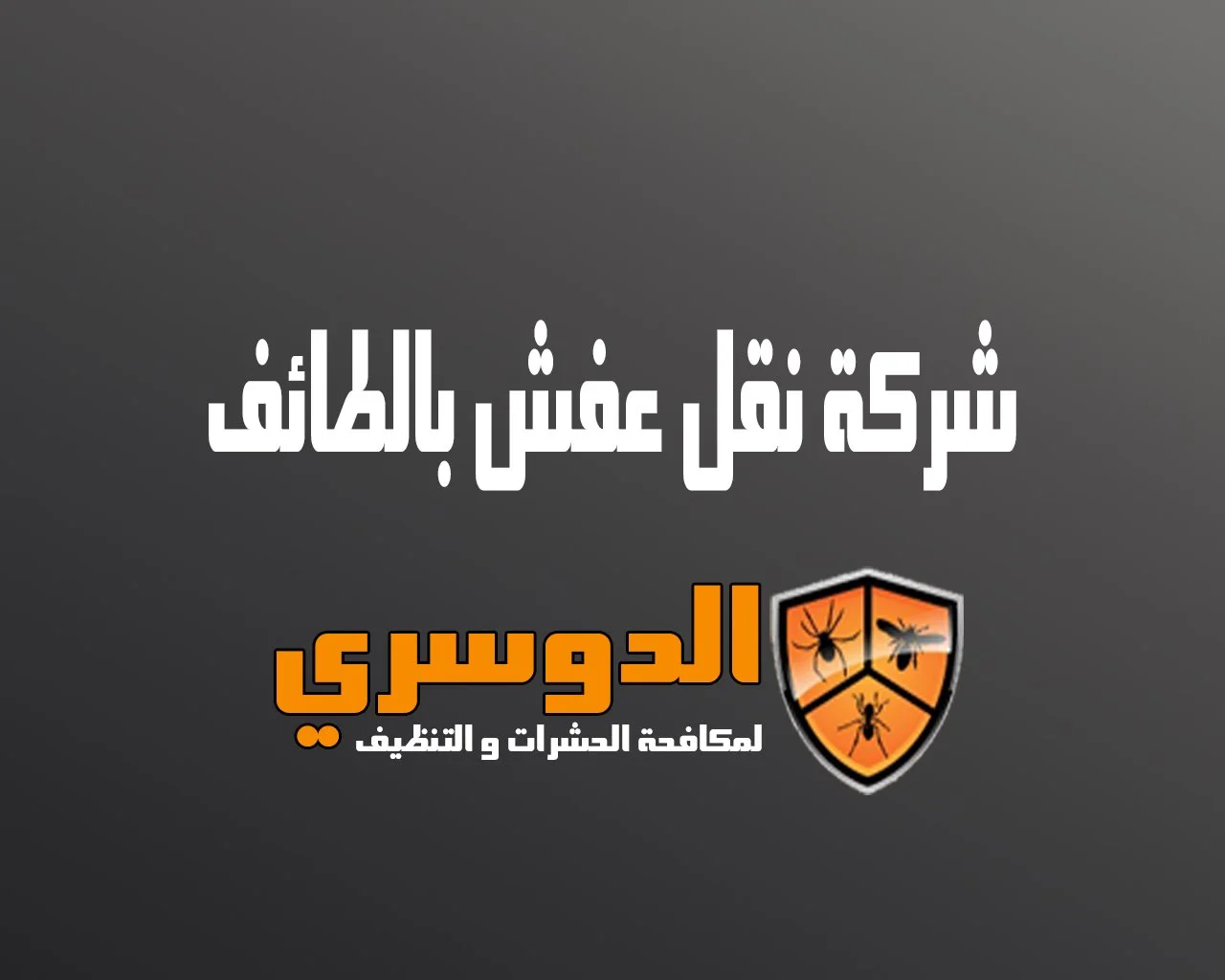 شركة نقل عفش بالطائف