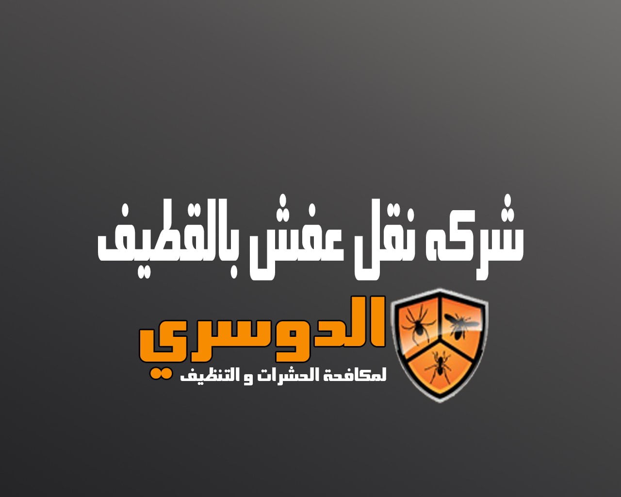 شركة نقل عفش بالقطيف