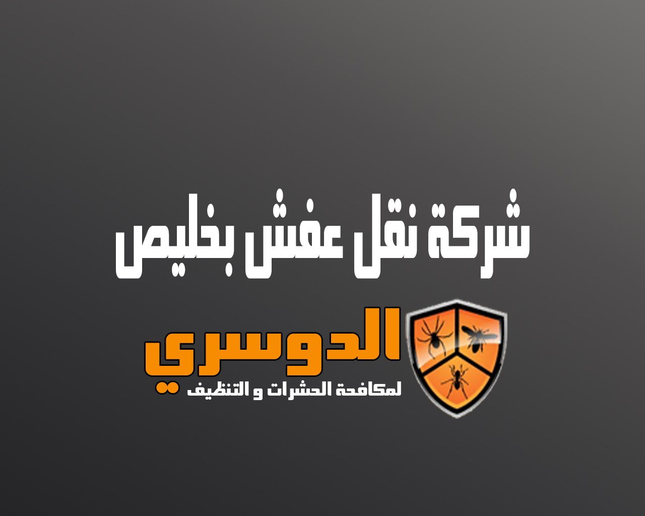 شركة نقل عفش بخليص