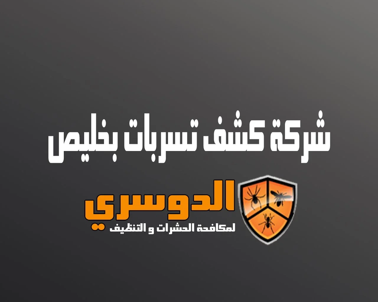 شركة كشف تسربات بخليص