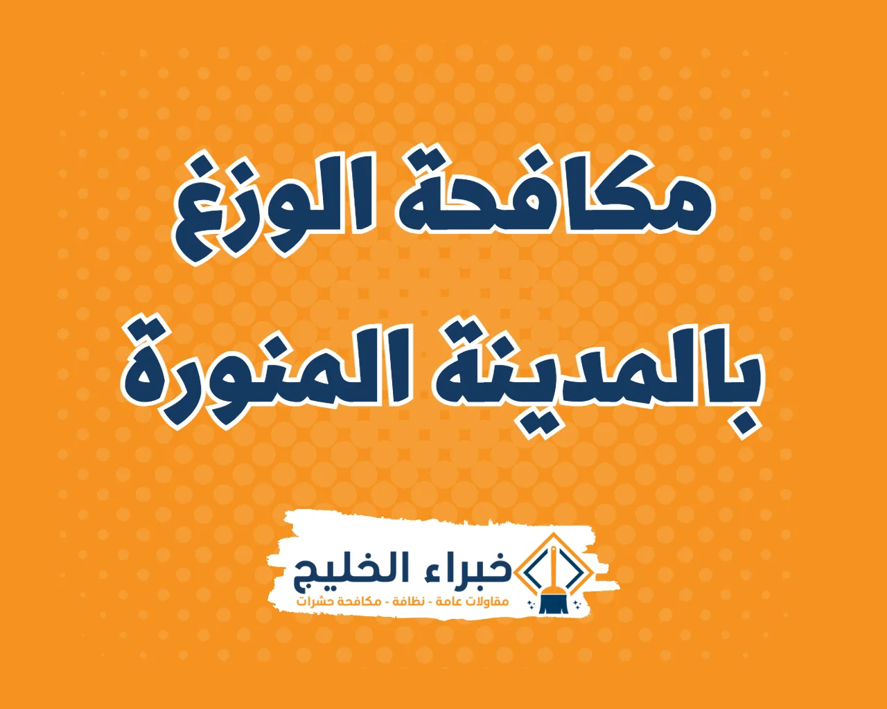 شركة مكافحة الوزغ بالمدينة المنورة