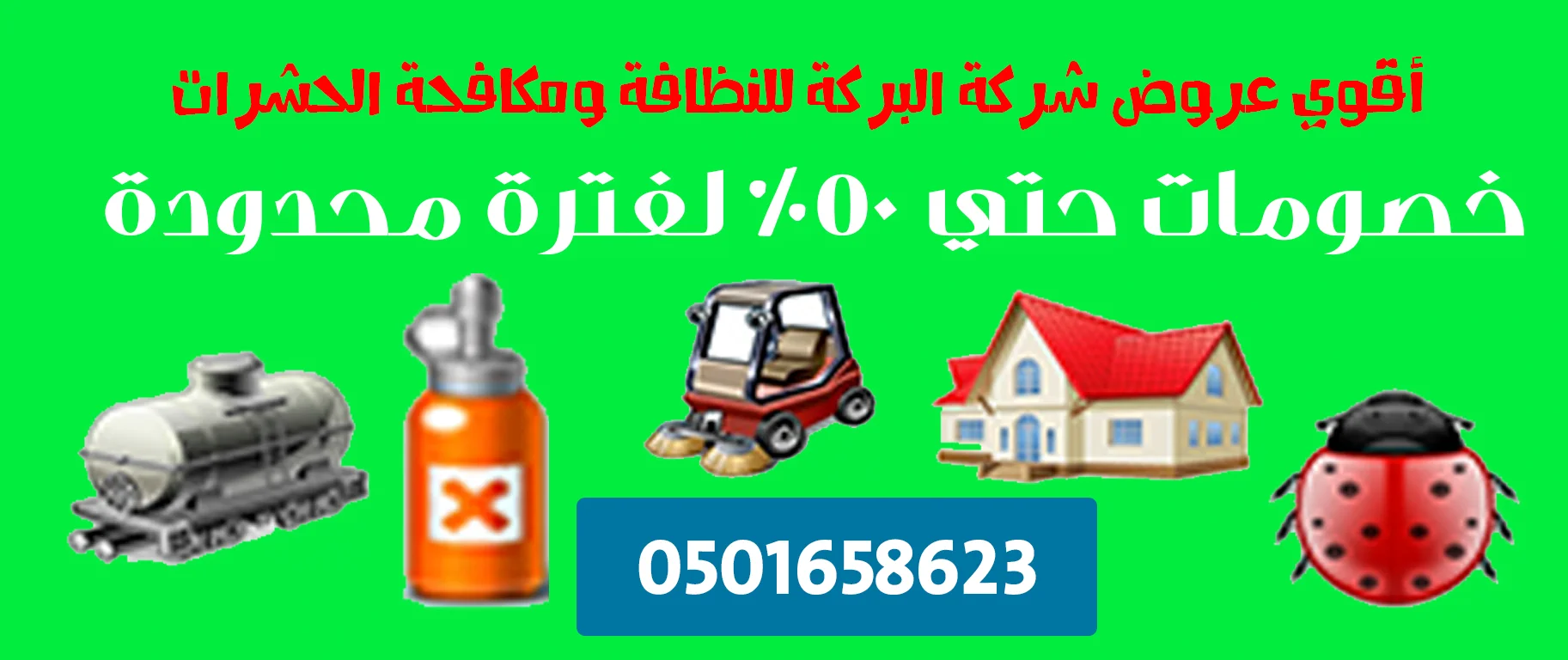 شركة مكافحة الوزغ بمكة المكرمة