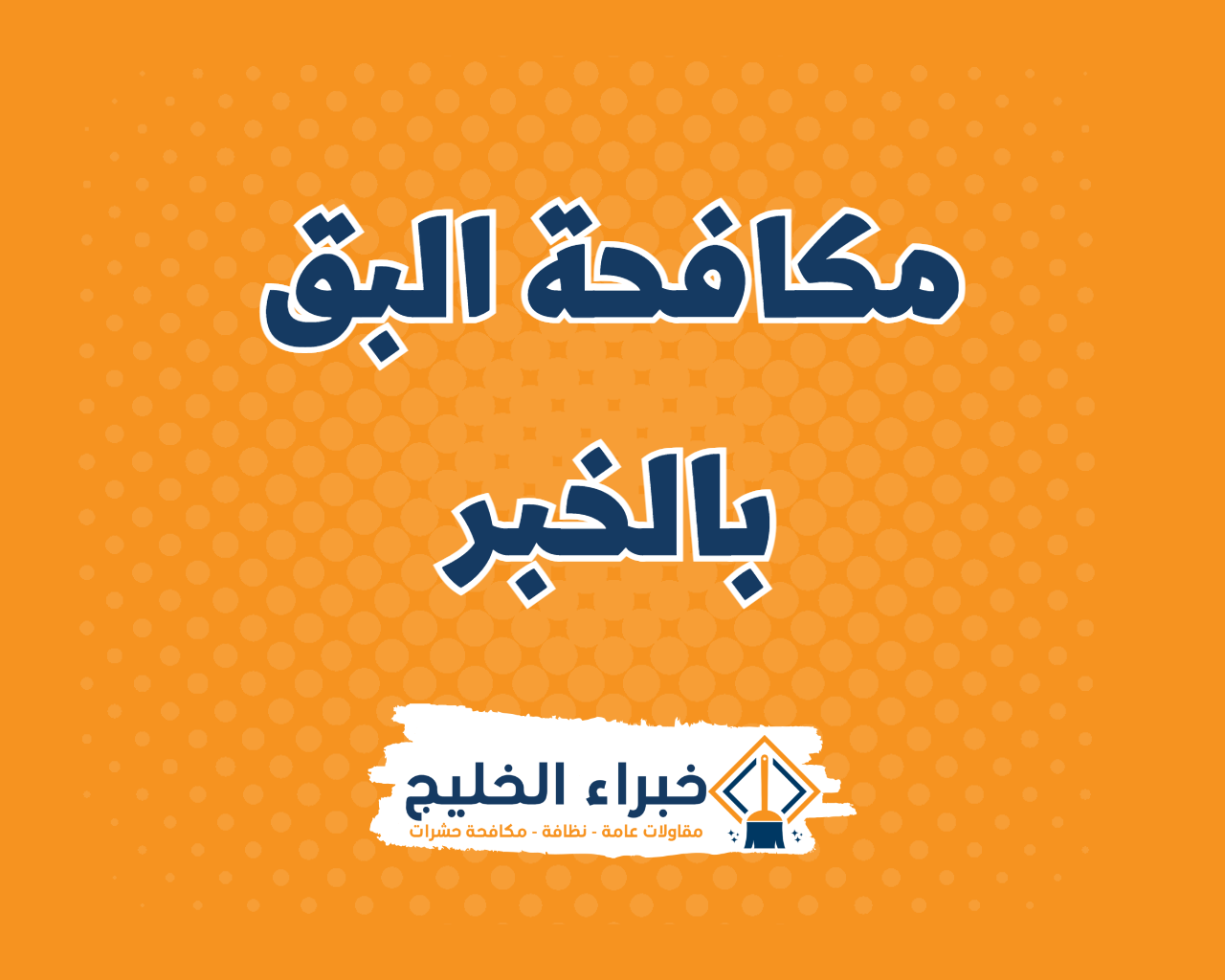 شركة مكافحة البق بالخبر