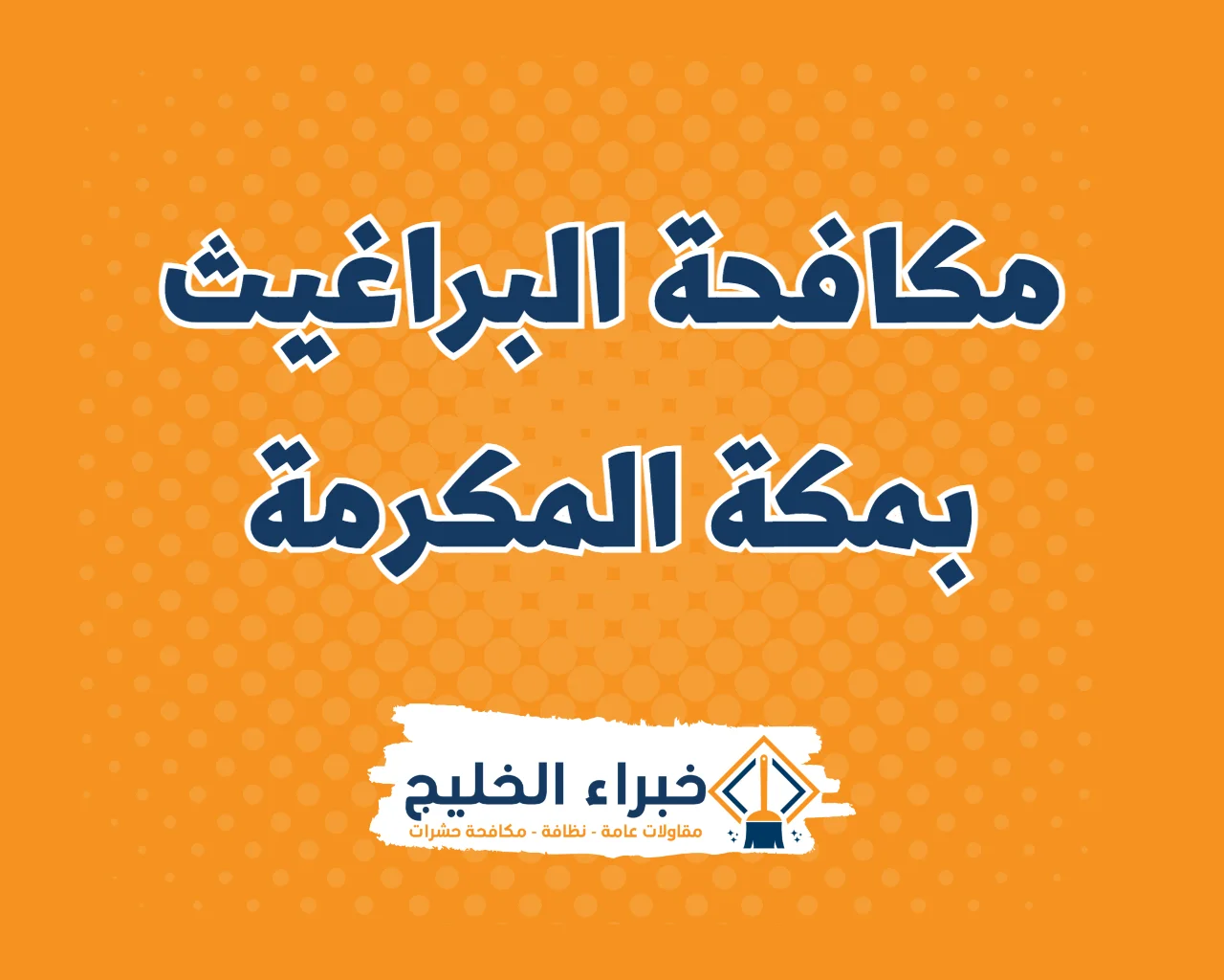 شركة مكافحة البراغيث بمكة المكرمة