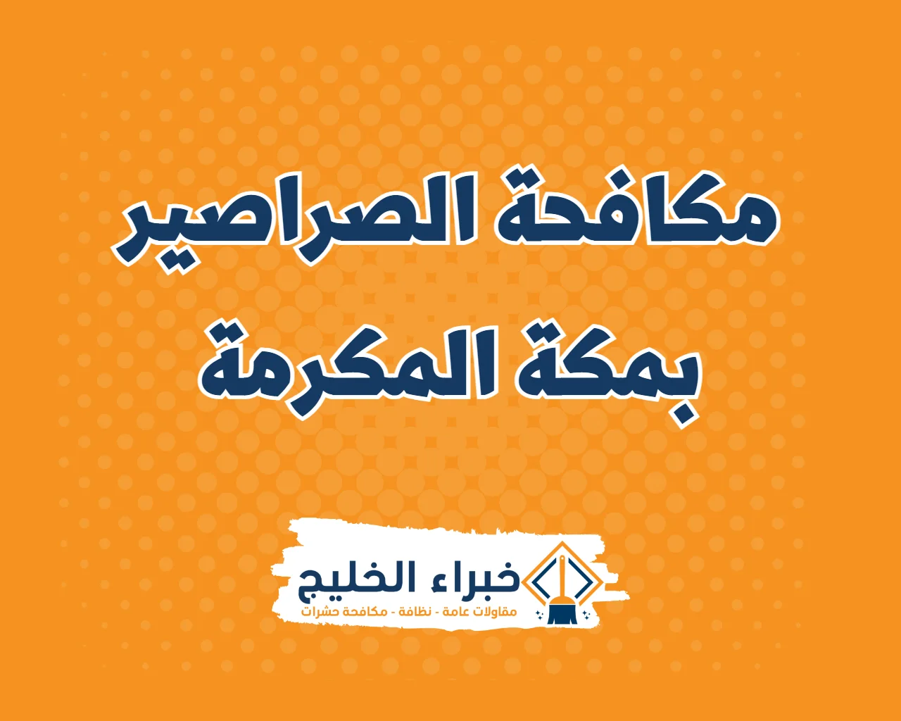 شركة مكافحة الصراصير بمكة المكرمة