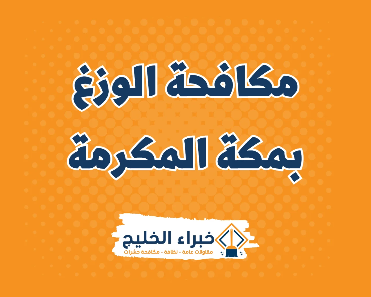 شركة مكافحة الوزغ بمكة المكرمة
