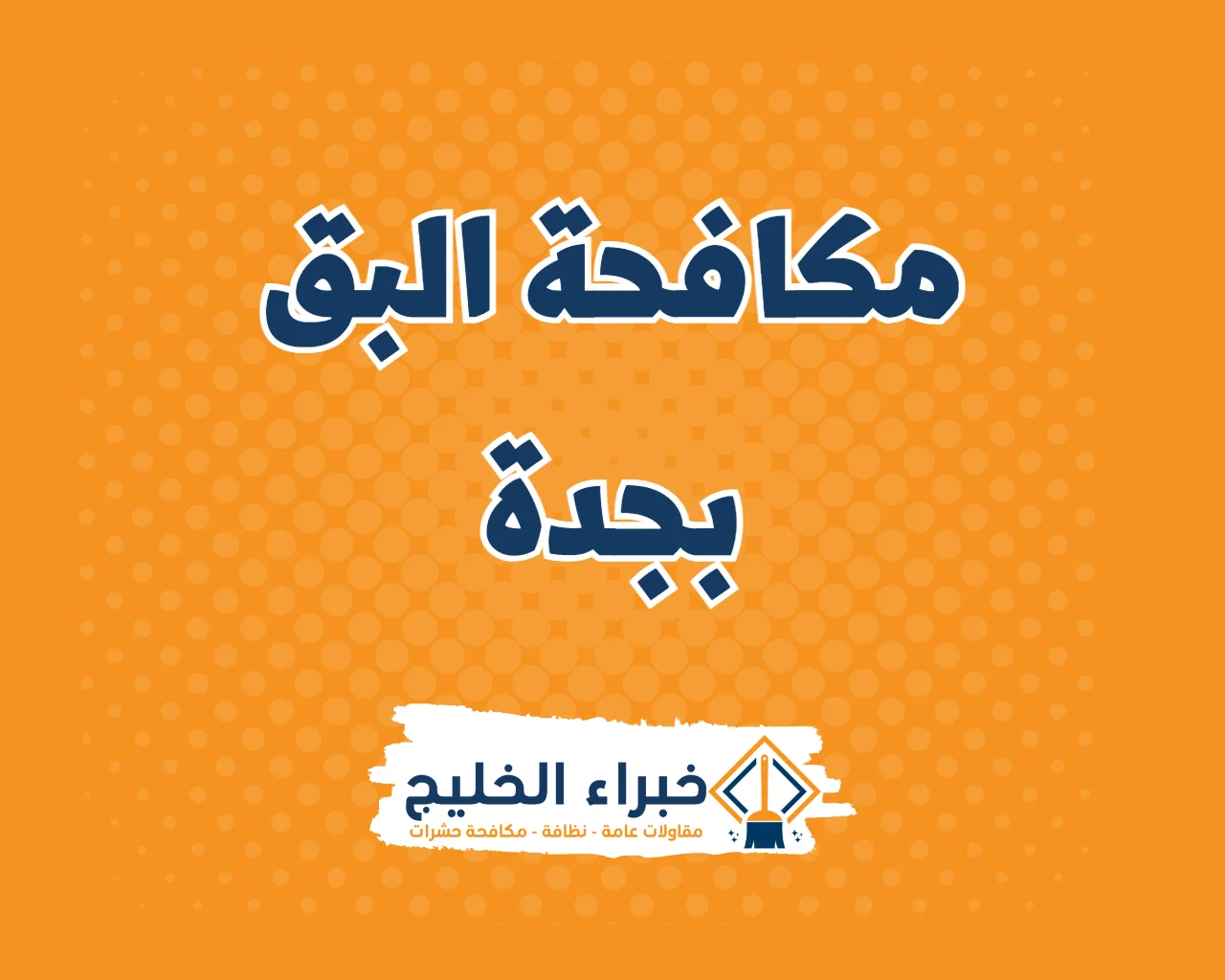 شركة مكافحة البق بجدة