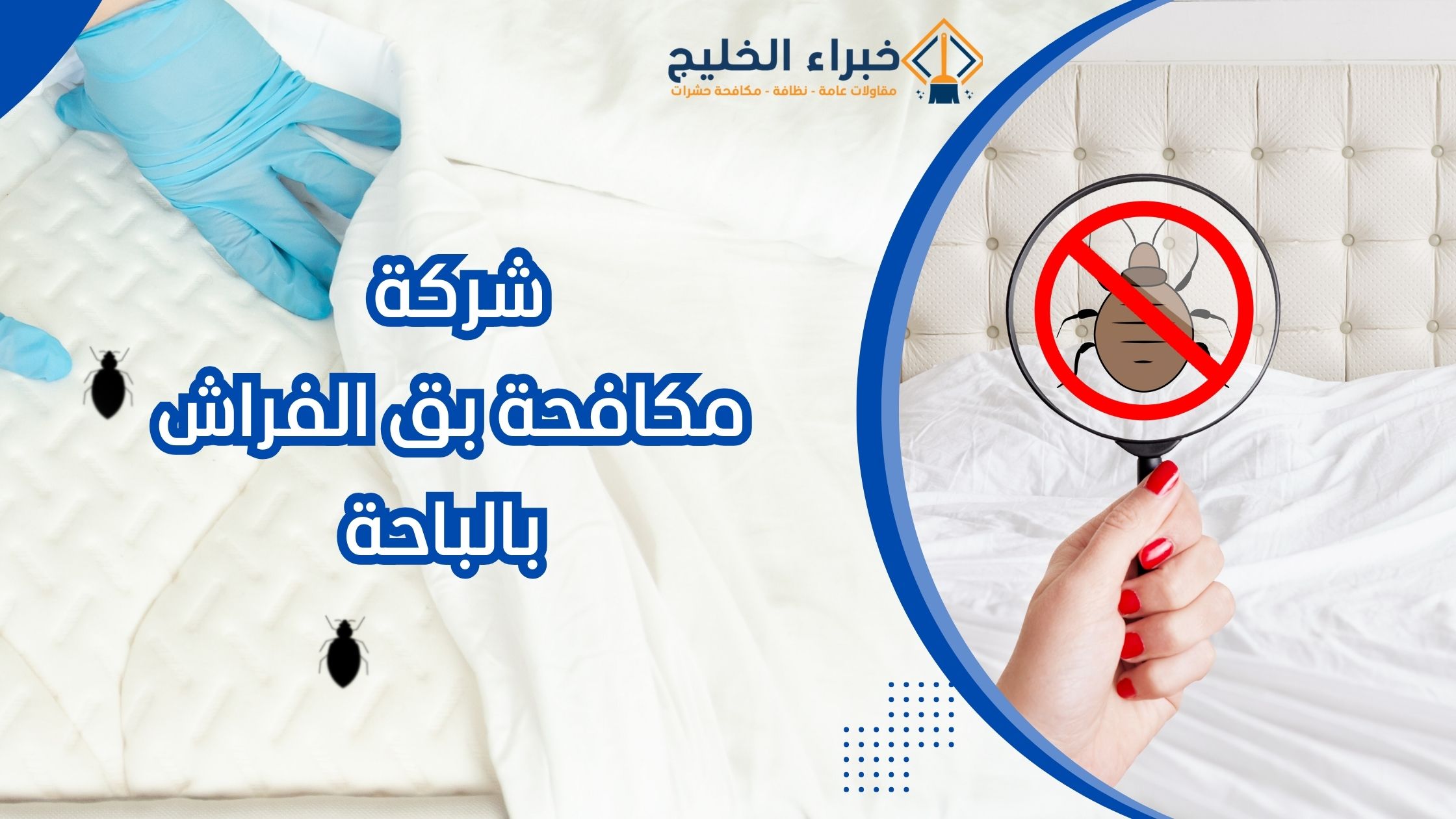 شركة مكافحة البق بالباحة 0560621777 ضمان 6 شهور 9 شركة مكافحة البق بالباحة