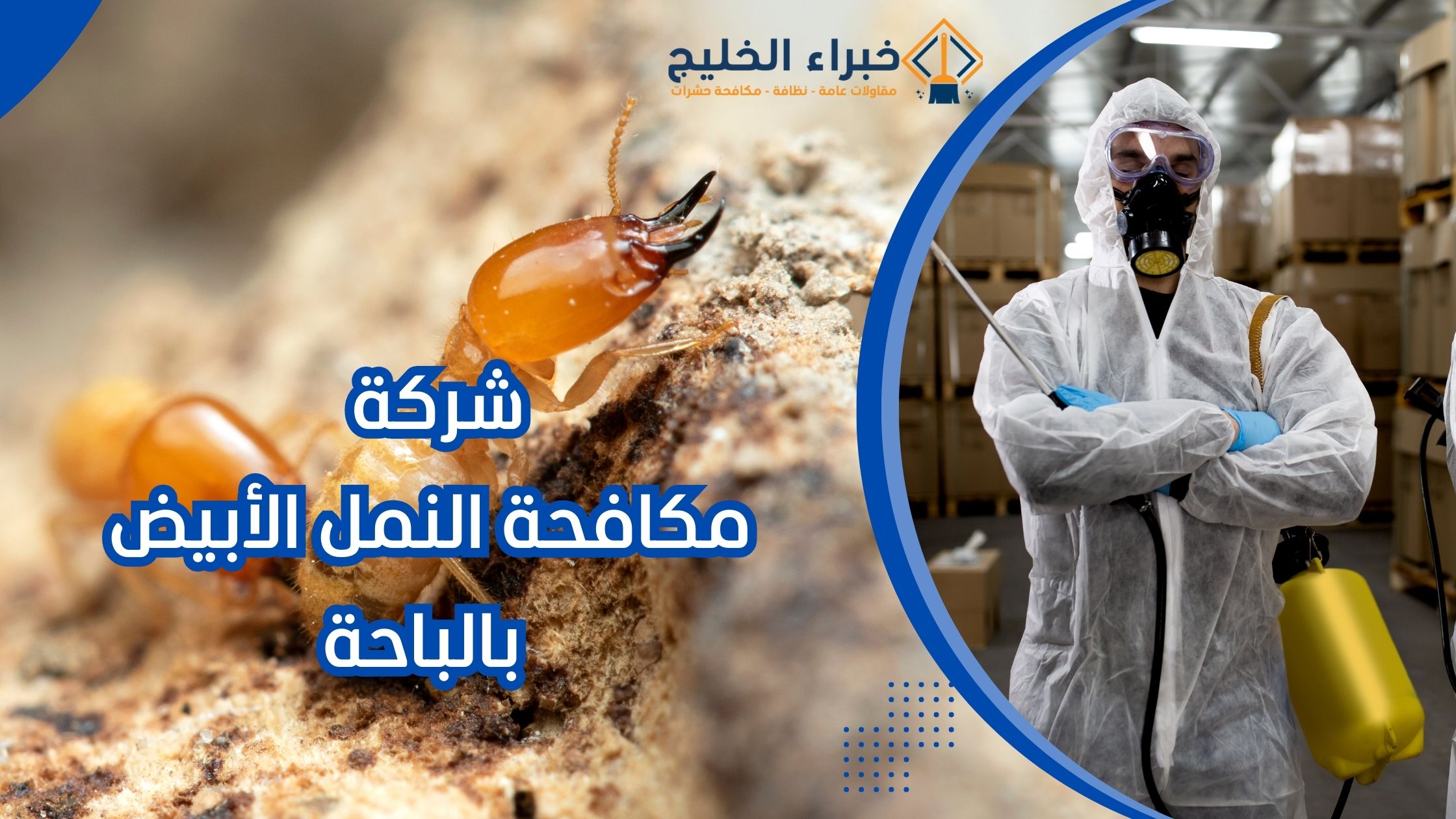 شركة مكافحة النمل الأبيض بالباحة 0560621777 ضمان 25عام 8 شركة مكافحة النمل الأبيض بالباحة