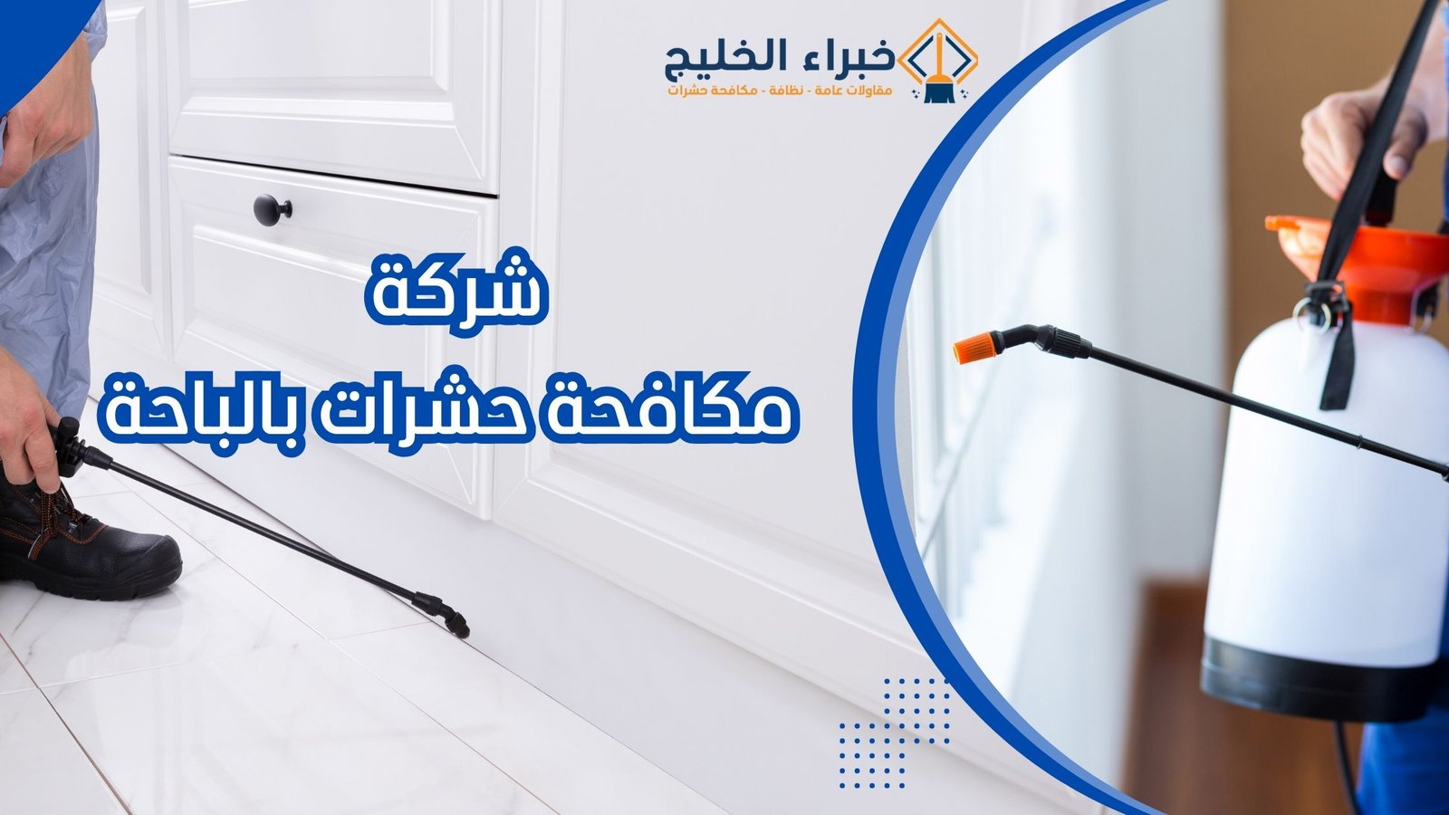 شركة مكافحة حشرات بالباحة